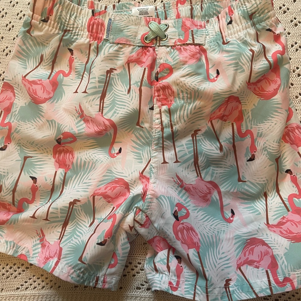 Vibrant Flamingo